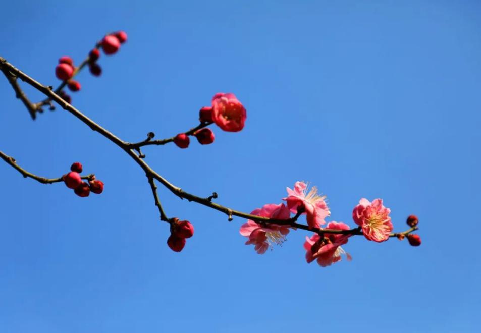 开始报名！河南大学2020运动训练、武术与民族传统体育专业招生简章公布！