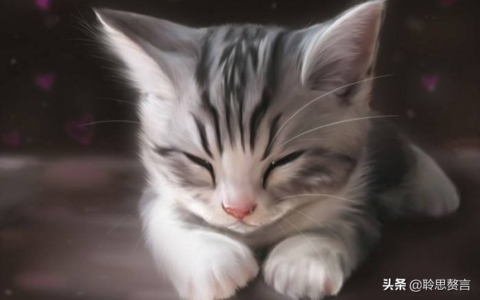 咏猫诗词精选三十三首 吸猫雅事，古已有之