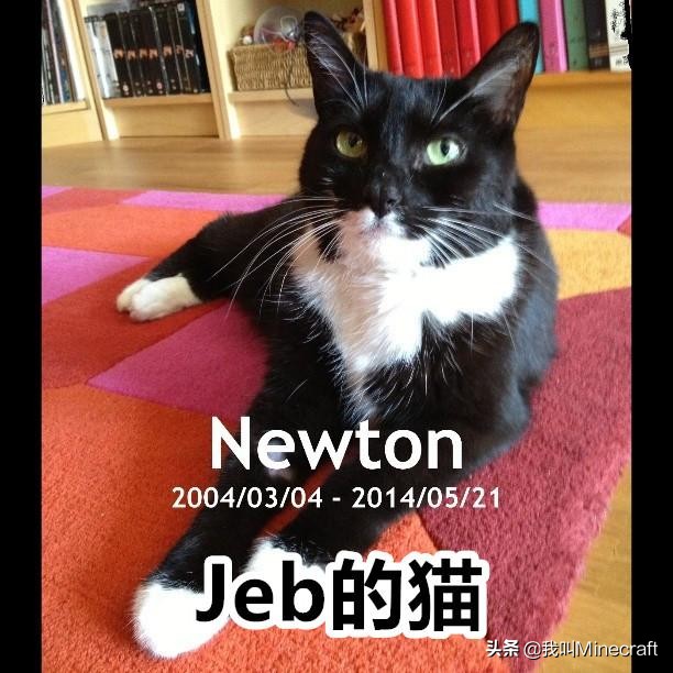 如何在《我的世界》里做一名合格的“铲屎官”？MC猫咪全攻略！