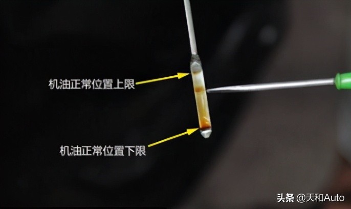汽车保养注意事项：机油粘度与加注量