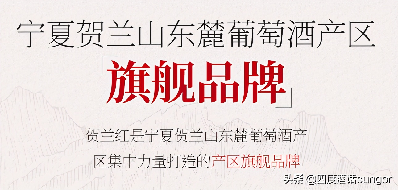 热剧《山海情》中出现的各种酒，你喝过哪款？