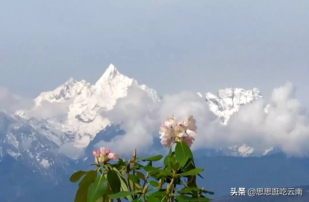 香格里拉的一处秘境，可以躺着看雪山的地方，一生必须走一次