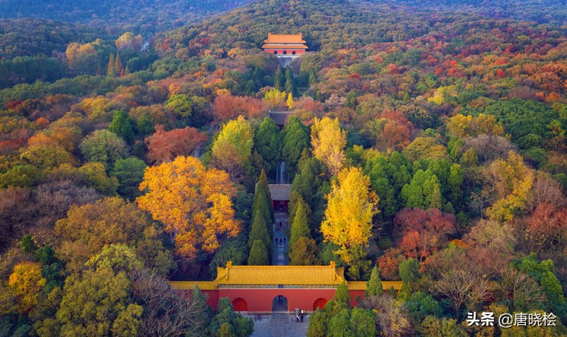 南京十大旅游必去景点，先收藏起来，以免需要的时候找不到了