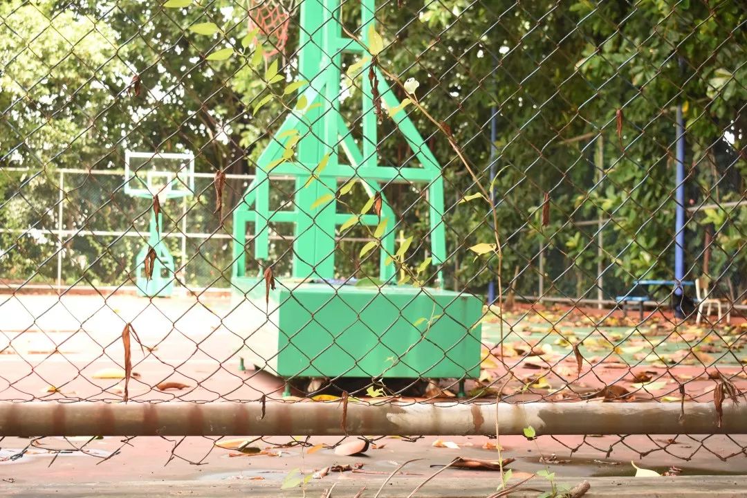 高职高考必看｜全面了解广州大学 （纺织服装学院）