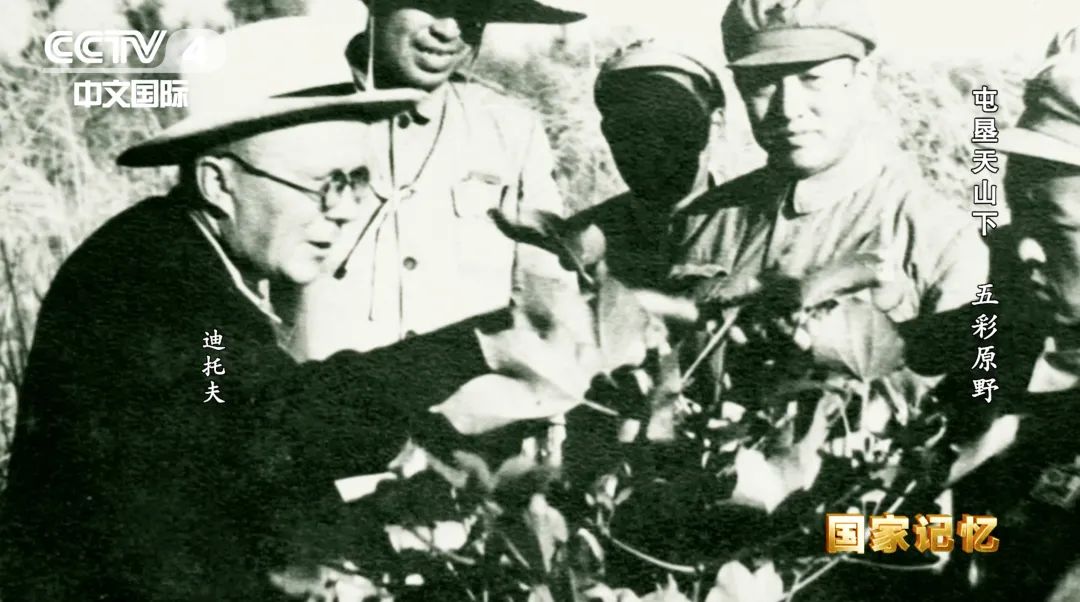 17位老人在宾馆地毯上睡了一夜，他们是谁？