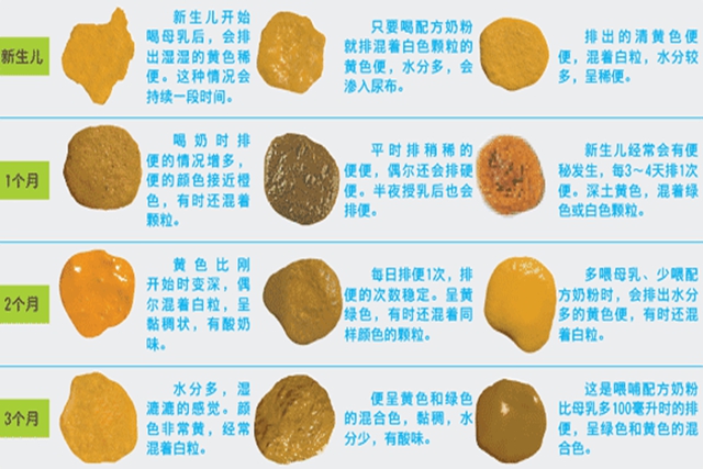 宝宝的正常大便是什么样的?