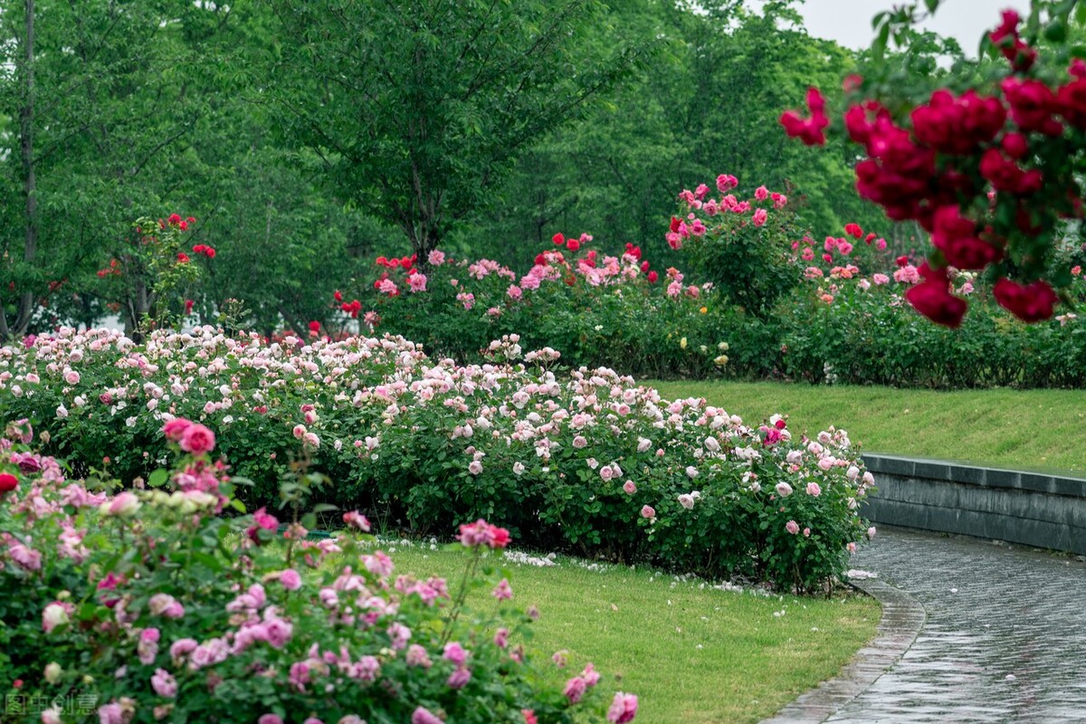 山长水阔，处处思量，行也思君，坐也思君，你是我一生牵挂的爱人