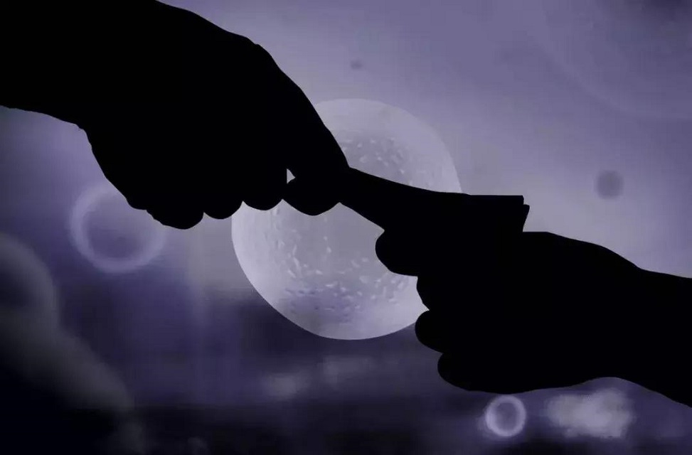 高校女厕所里的“兼职”广告，背后藏着一条见不得光的黑色产业链