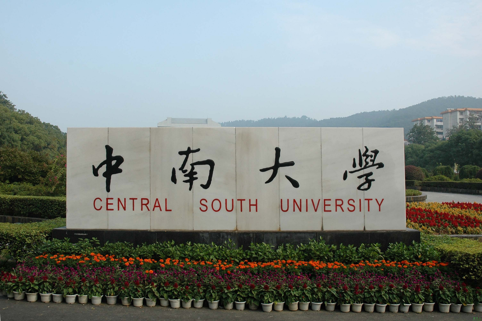 她是中南大学最美教授，被学生称为神仙姐姐，却因一本书被质疑