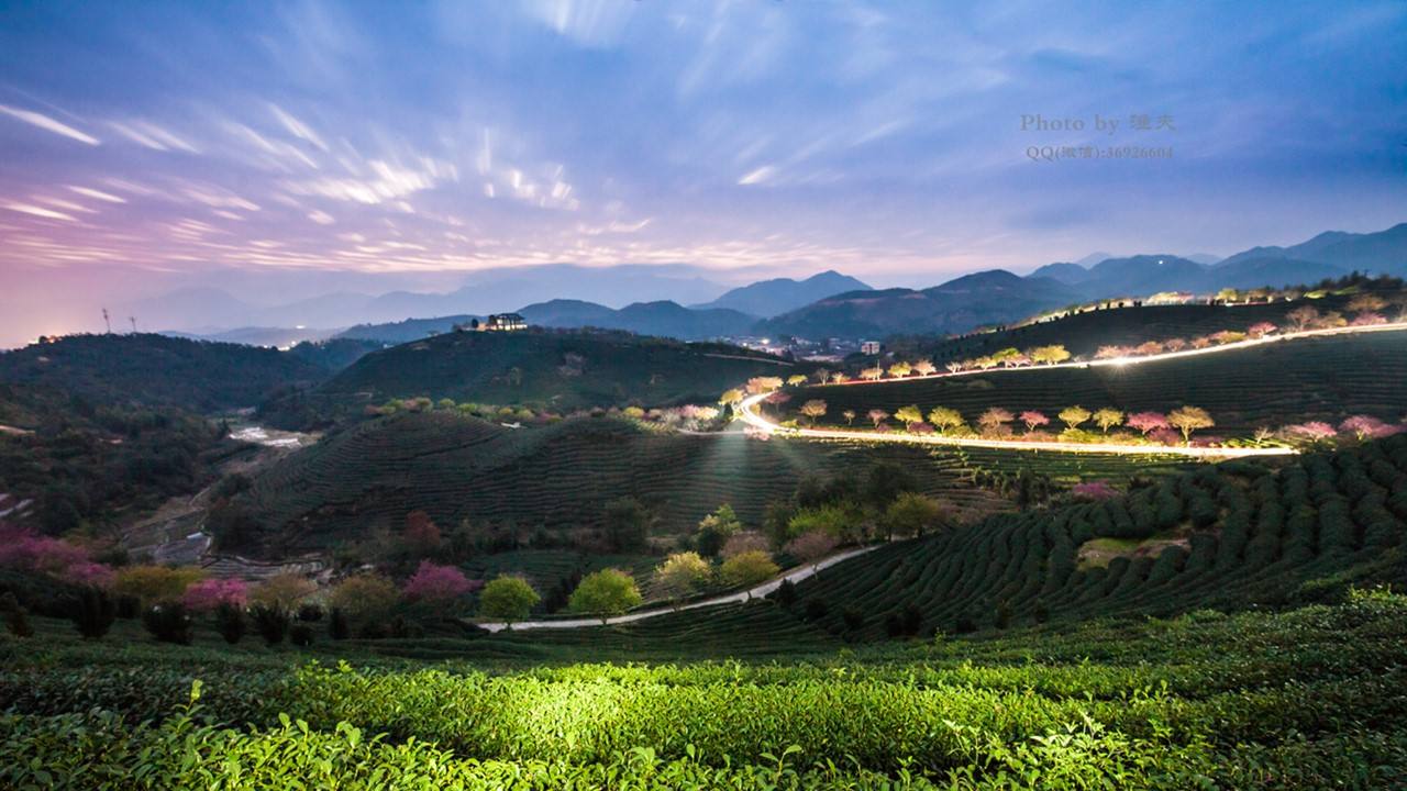 万亿微商市场乱象丛生：杨霞蜂蜜陈静酒成忽悠，从业人员2000万