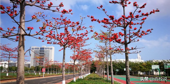 “海纳百川 有容乃大”，椰岛上的一颗“明珠”海南大学