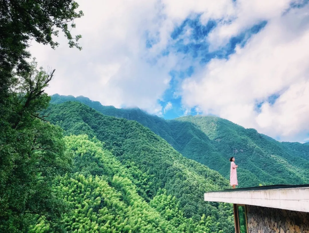 浙南秘境里“江南布达拉宫”式野奢山居民宿丨丽水松阳揽树山房