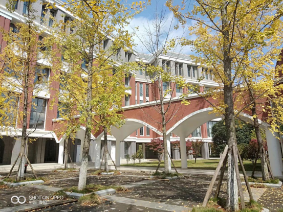 贵州大学图书馆官网（印象大学）