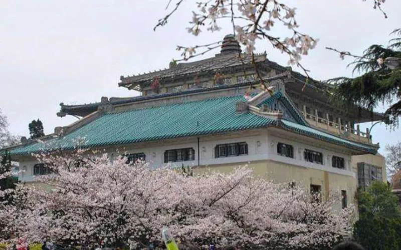 武汉大学，东湖之滨，珞珈山上，这是我们亲爱的学堂