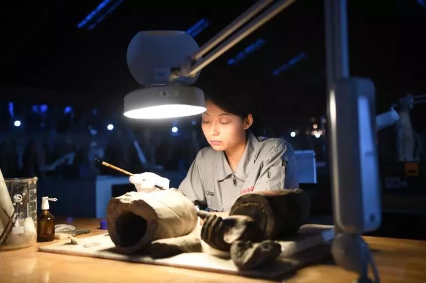 大学奇葩专业大汇总！母猪的产后护理简直弱爆了