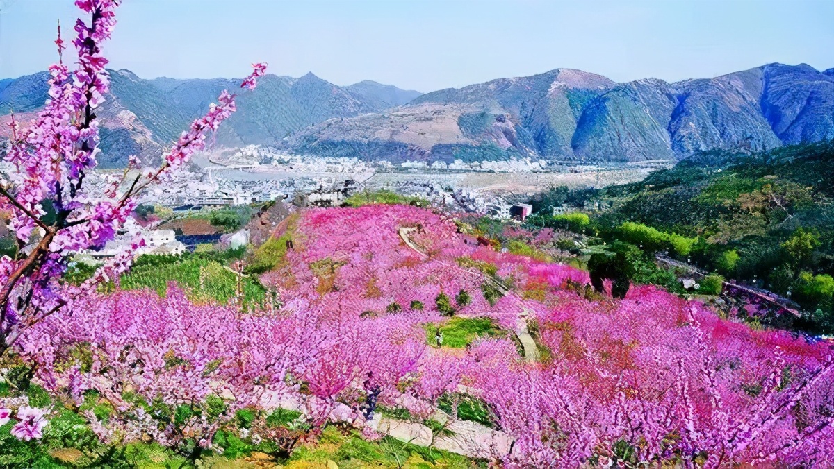 又到赏花季，陕西最美赏花景点全在这了！带着这份攻略赶快出发吧