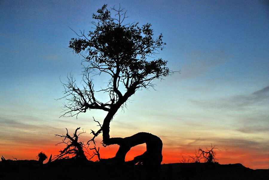 南关的含义 _飞翔号