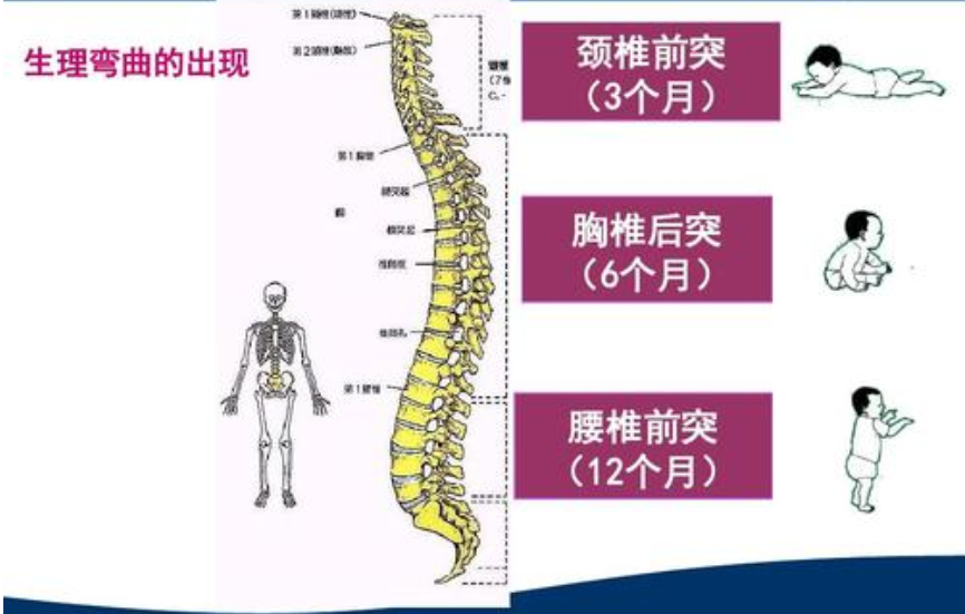 宝宝脊柱轻微变形，只因宝妈买错婴儿车，推车选购必备攻略了解下