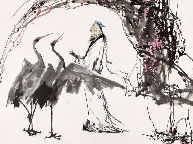 经典文言文赏析 | 林逋养鹤