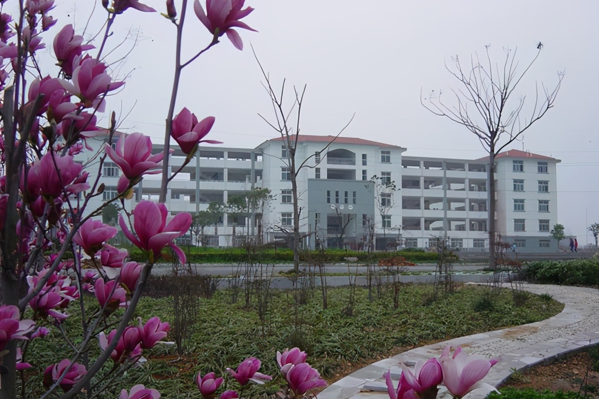 江苏徐州中学排行出炉，这五所学校被选中，人称“五小天王”