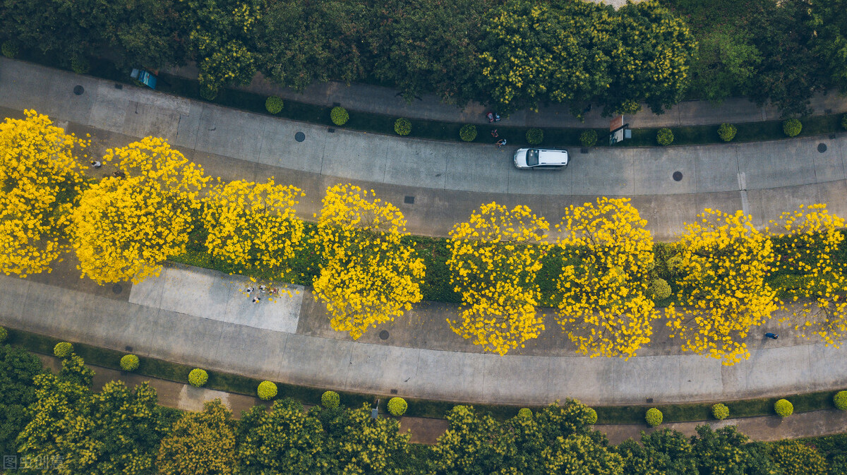 东北地区农业硕士考研院校分析