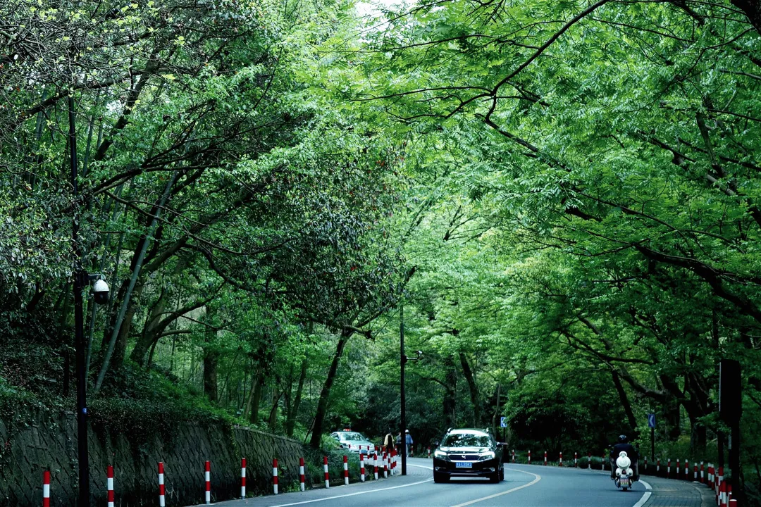 杭州终极拜佛攻略｜走这条路，一天解锁灵隐法喜7大宝藏寺庙