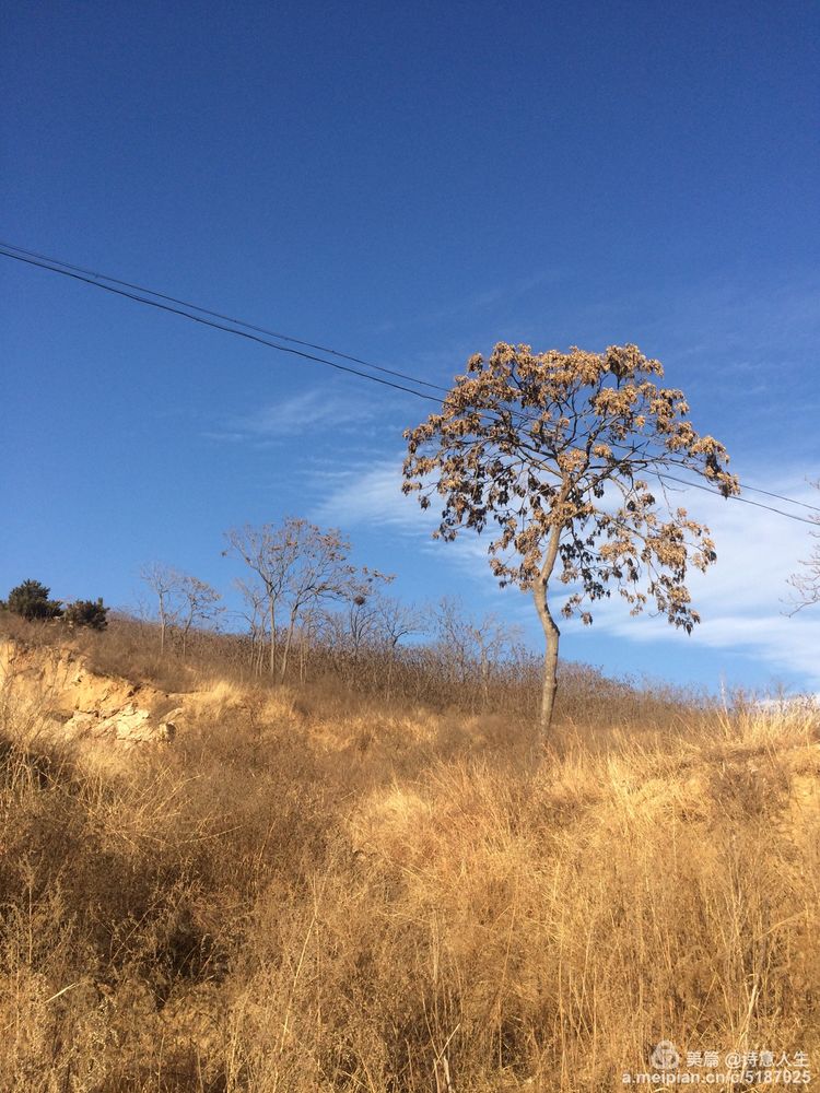 冬日蓝天白云飘，一年级小朋友眼中的美丽天空