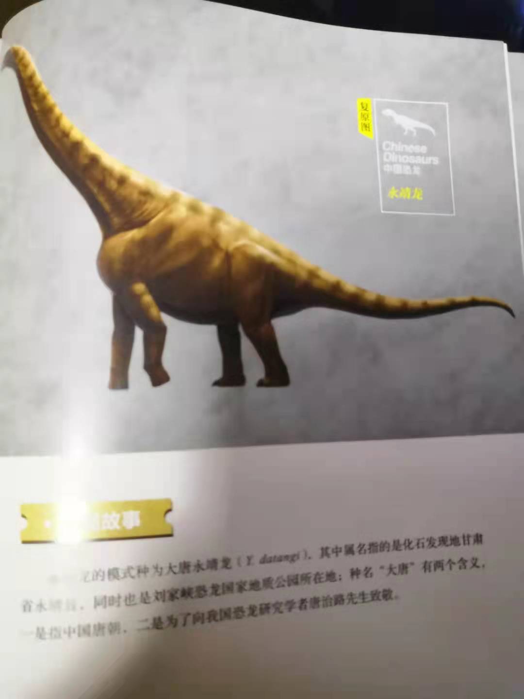 灭绝的古生物中为什么恐龙会备受关注？中国的恐龙到底有多少种？