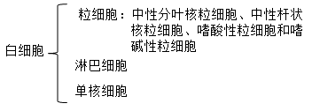 血常规检查：白细胞，白细胞计数高或者低代表什么？