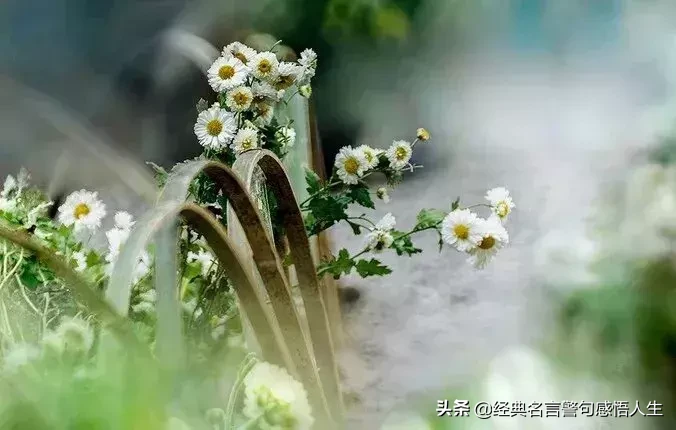 人难做,钱难挣,人皮难背!