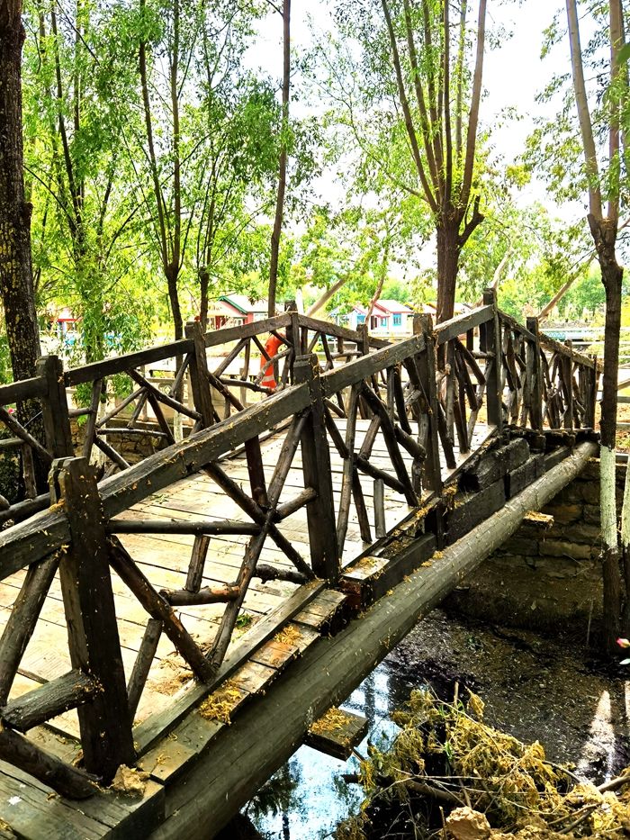 丽江拉市海，骑马走茶马古道，赏鸟走观湖长廊