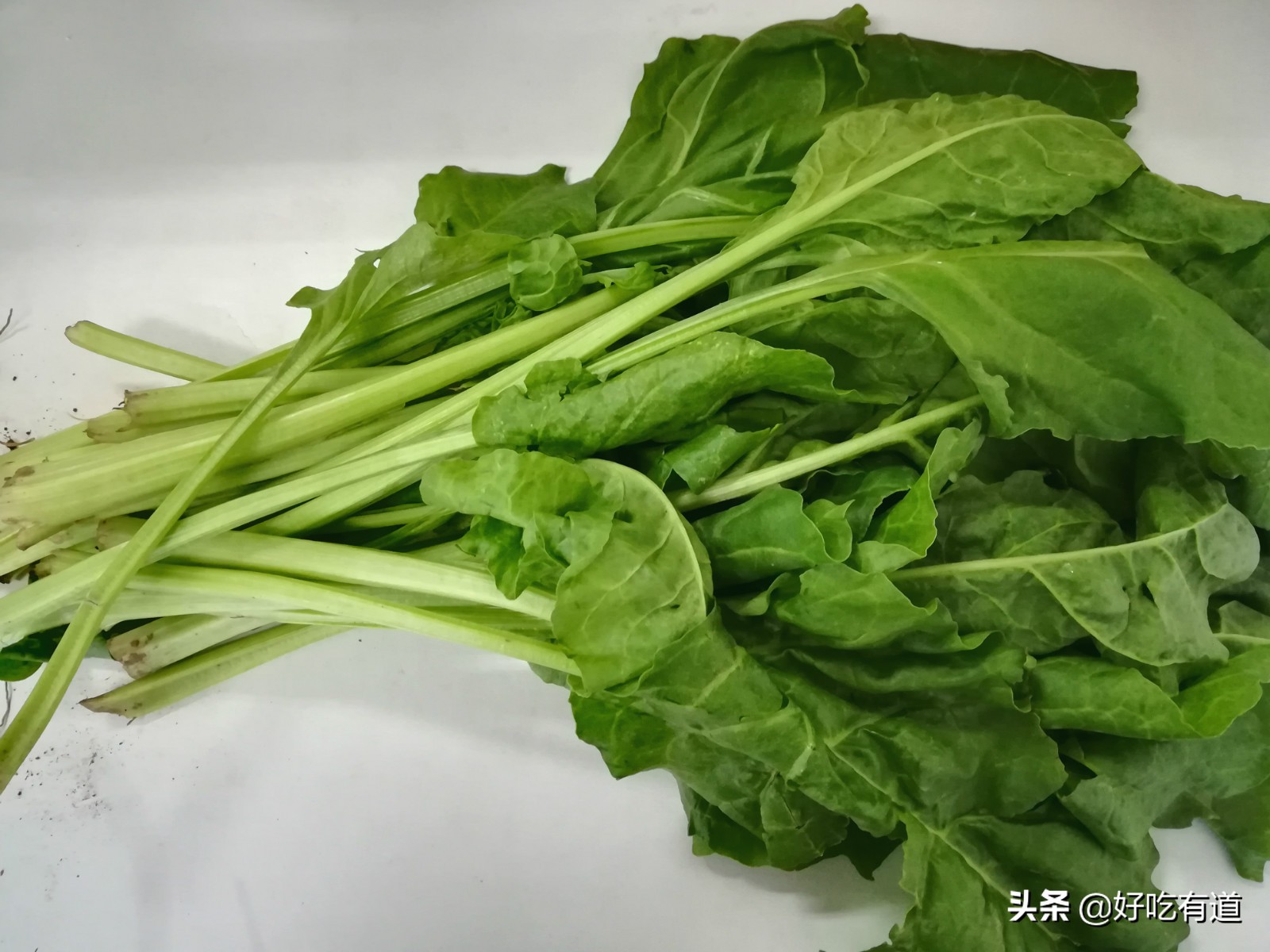 根达菜的功效与作用-我的快乐小窝