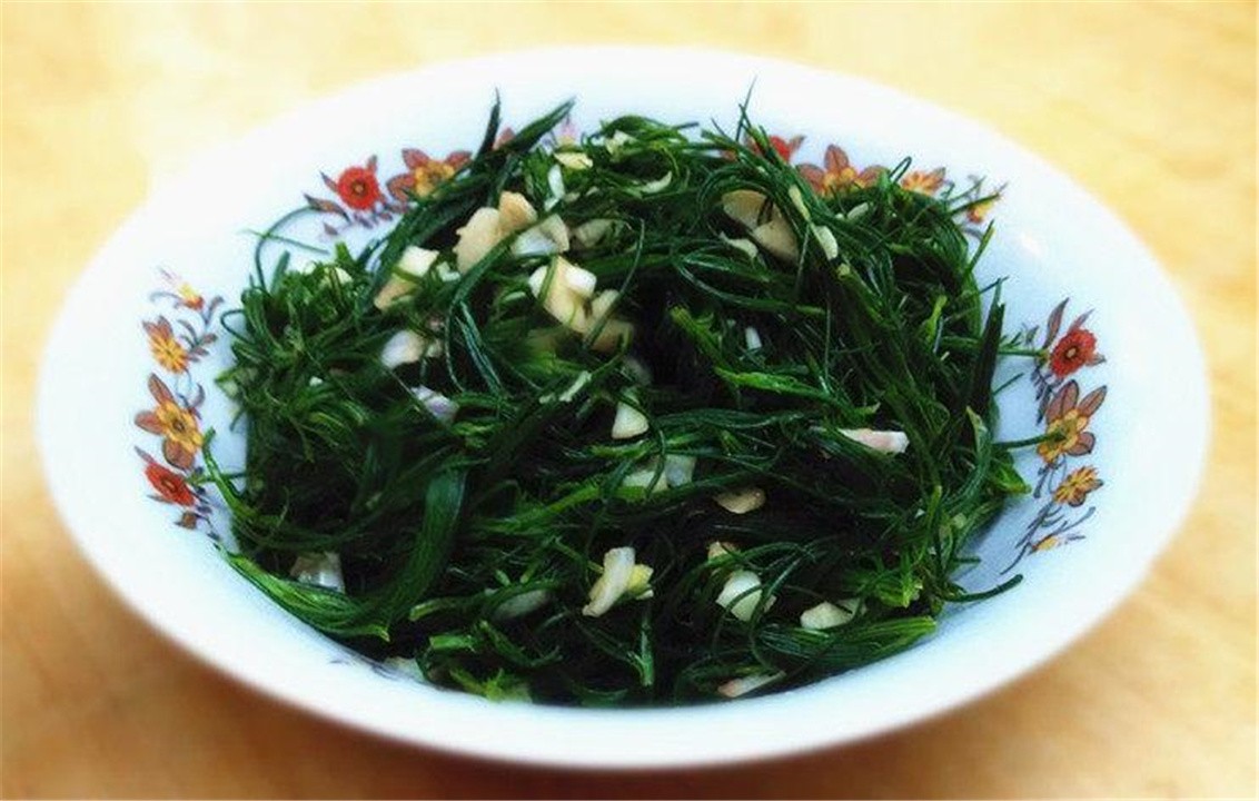 "鸡汤王"风滚草,看似坚强生存实则野蛮入侵,美国人快被逼疯了