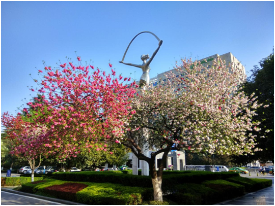 原来，世界唯一的汽车综合试验场，竟藏身于陕西这所大学！