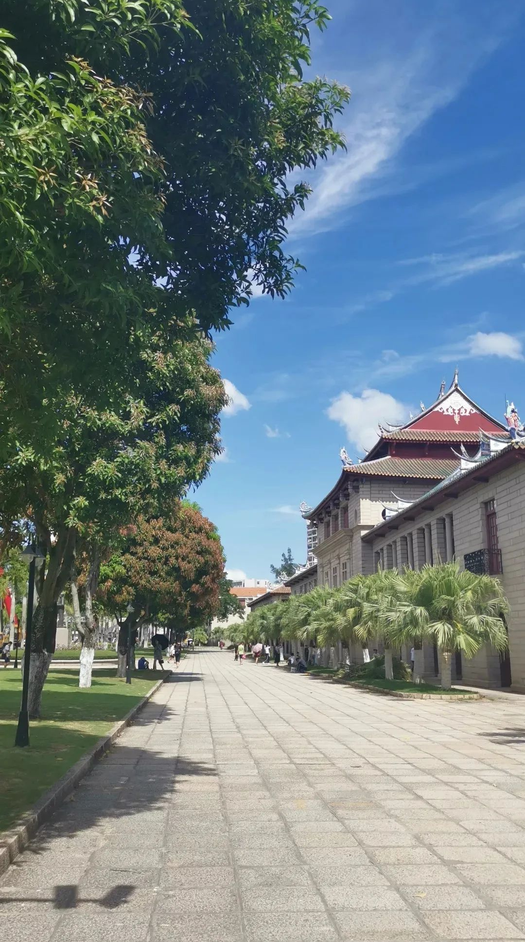 中国这10所大学壁纸第二期！厦门大学、中山大学等在列