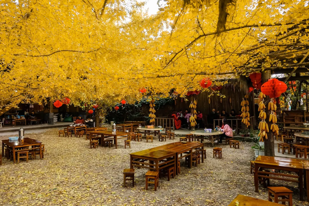 太美了!10个愈秋愈美的小众旅行地,错过只能再等一年
