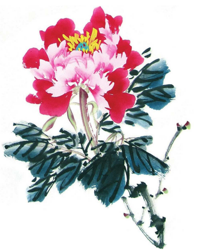 国画梅花,兰花,菊花,牡丹,荷花等常画花卉的画法