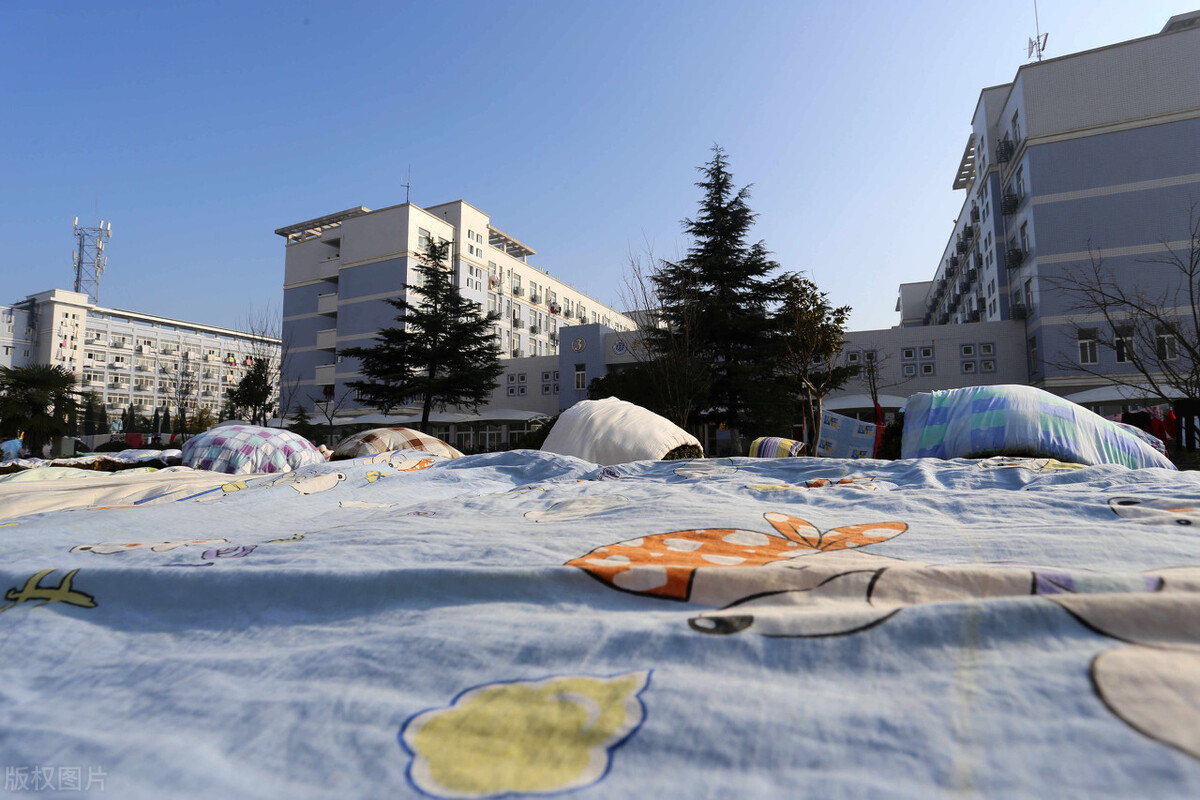 大学生当军官有哪些方式？这四种方式大部分人没见过，尤其后两种