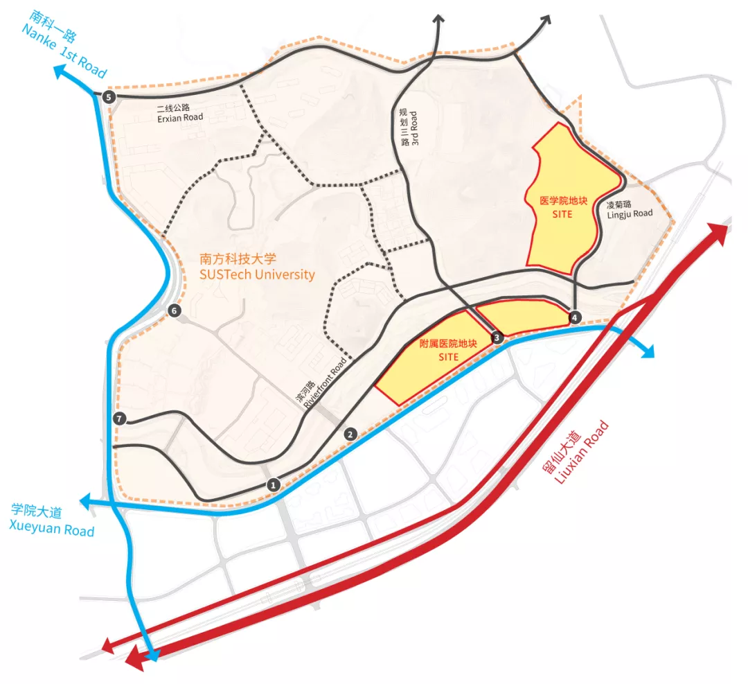 定了！中央支持，深圳第5个医学院！对标国际，面向全球招院长