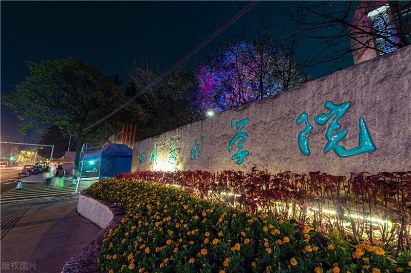 公办专业艺术类院校与综合“双一流”大学如何选？看完就不再犯难