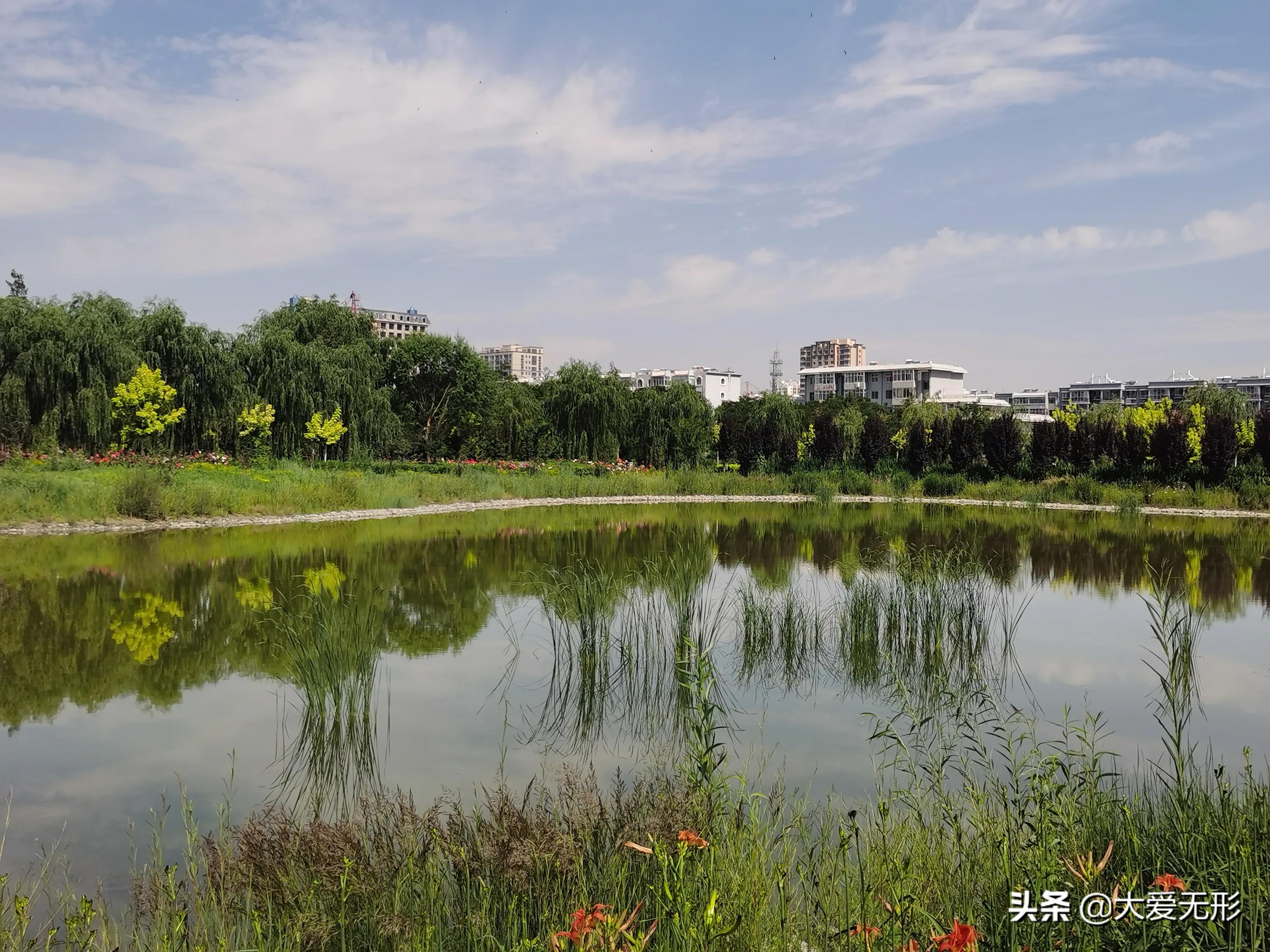 「五律」雨后西郊公园即景