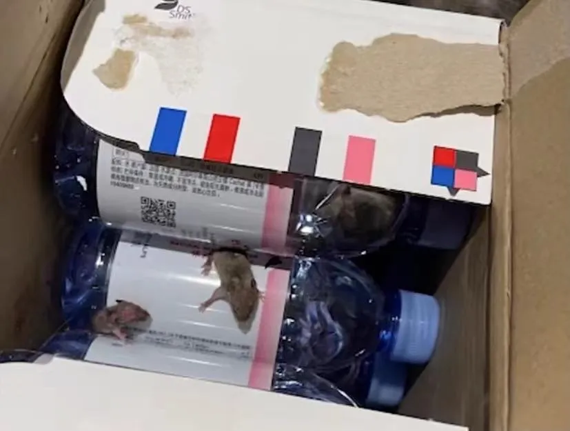 福建疫情又传一地!仍处于上升期丨天猫超市回应矿泉水现老鼠事件丨天津这个区88家商铺停业整顿