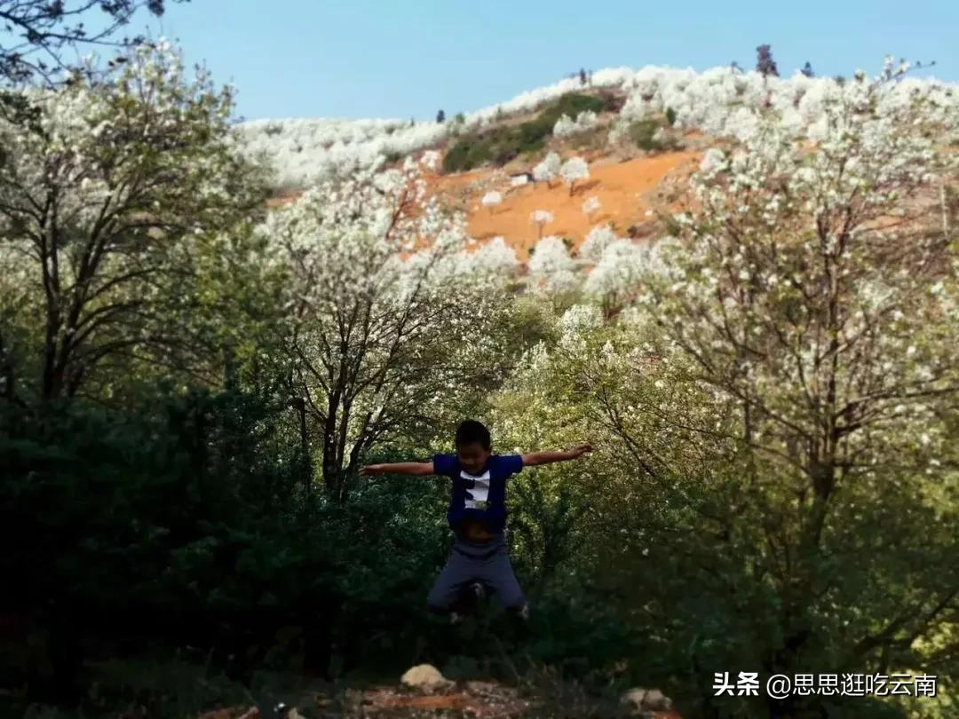 云南个旧，张子枫电影里的宝藏小城，藏着小镇青年的回忆和美食