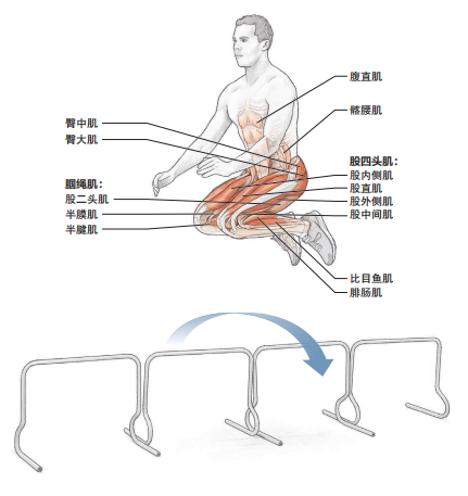 要想快速增強下肢爆發力，跨欄訓練你怎能錯過！