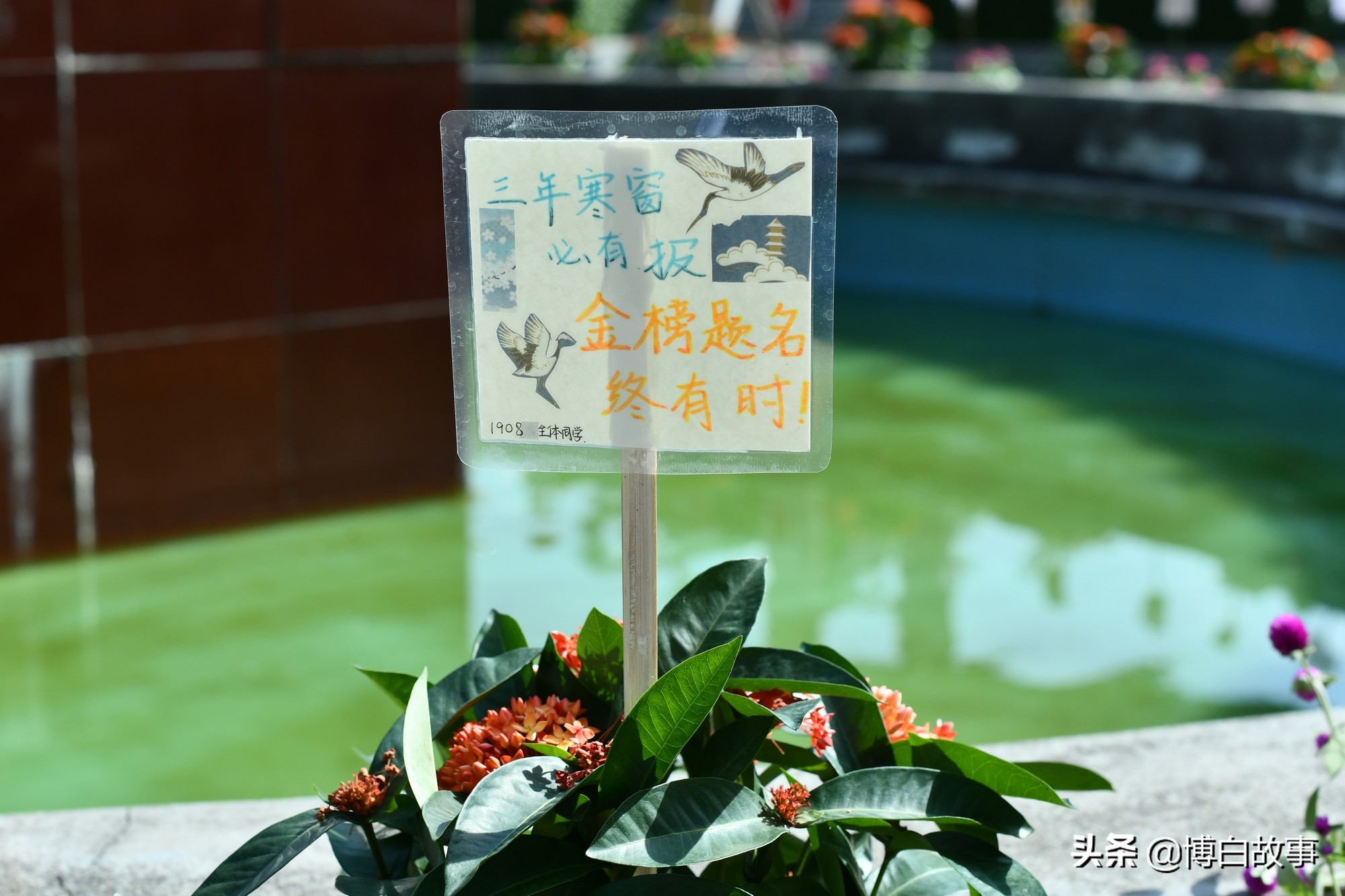 广西博白县中学做了大量工作，确保考生以最佳状态参加高考