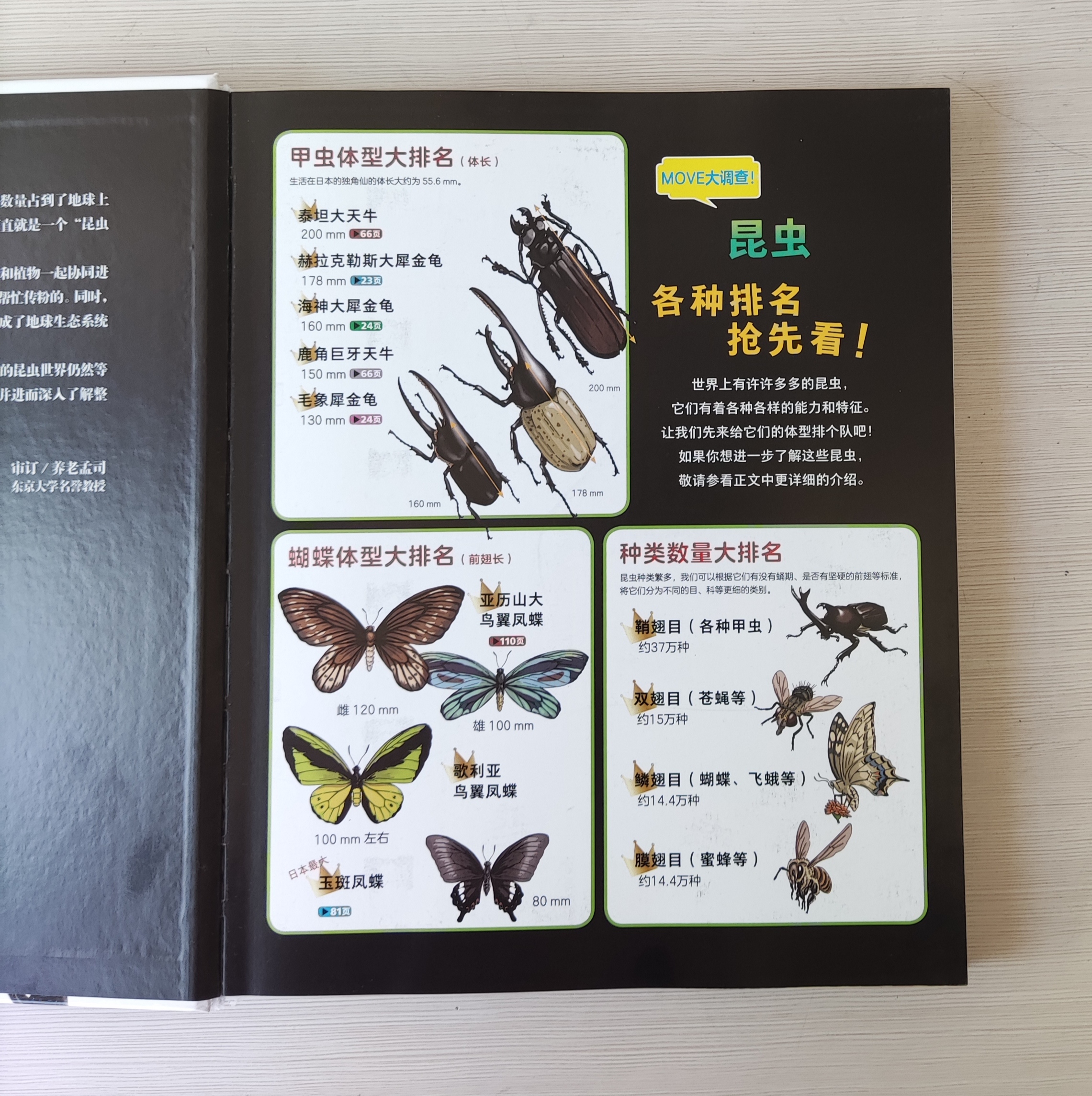 鳞翅目,膜翅目等12类,最后一章还介绍了很容易被误认为是昆虫,但实际