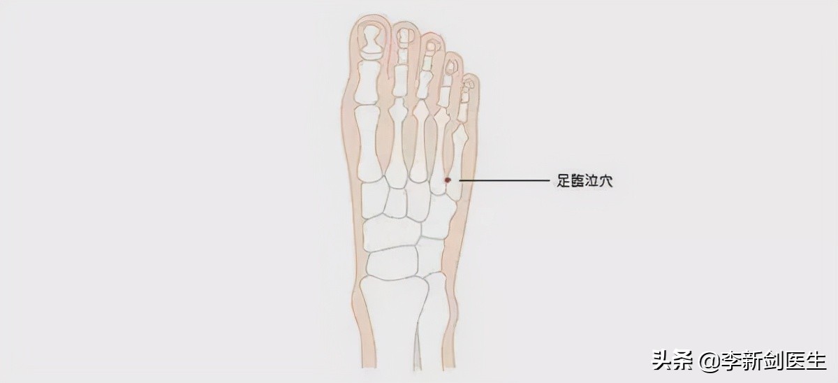 胆经的准确位置图脚上图片