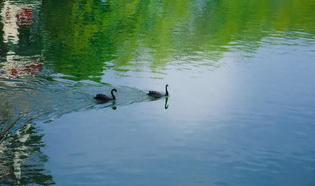 在读家长谈广外外校，选对了学校是一种什么体验？