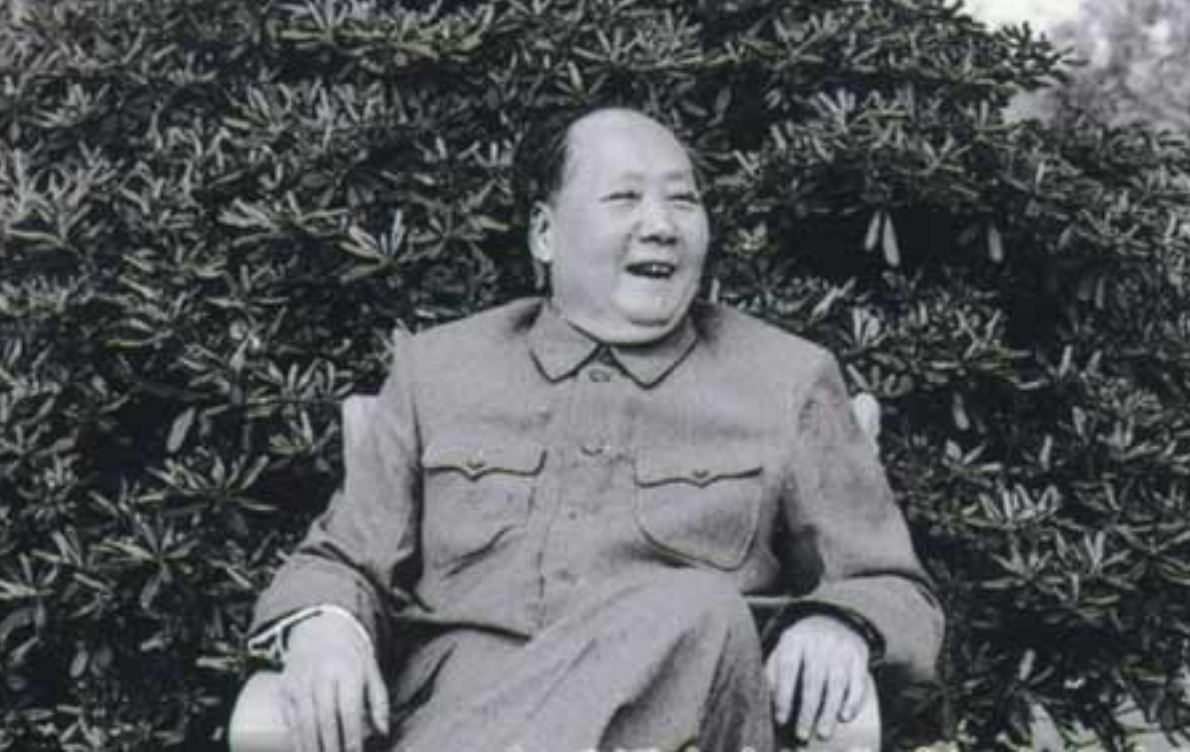 建国后中央禁止持枪见主席，王震是个例外，主席：别拿原子弹就行