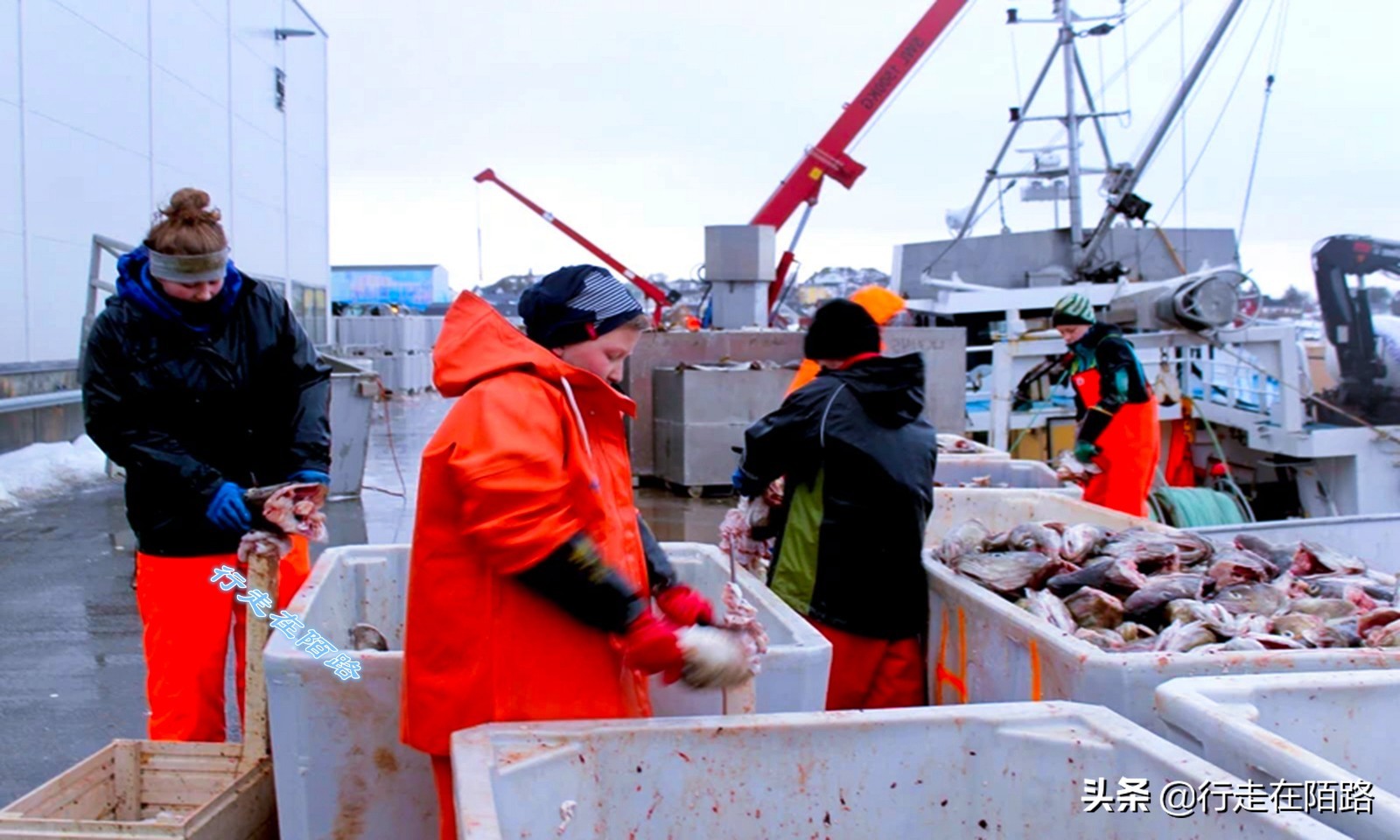 修建足球场(砸锅卖铁满足你：因为少年一句话，渔民花700万建足球场)